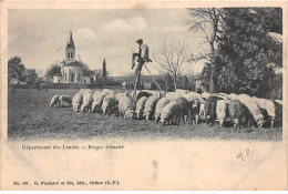 Landes - Berger Echassier - Très Bon état - Altri & Non Classificati