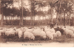 DAX - Moutons Dans Les Pins - Très Bon état - Dax