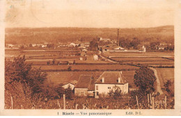 RISCLE - Vue Panoramique - Très Bon état - Riscle