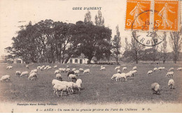 ARES - Un Coin De La Grande Prairie Du Parc Du Château - Très Bon état - Arès