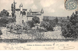 Château De BIENASSIS, Près Crémieu - Très Bon état - Other & Unclassified