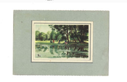 Paysage.Expédié à Cambrai (France).Timbres Sarrois. - Autres & Non Classés