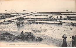 CANCALE - Vue Générale Des Parcs à Huîtres - Très Bon état - Cancale