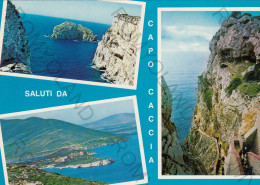 CARTOLINA  C10 ALGHERO,SASSARI,SARDEGNA-SALUTI DA CAPO CACCIA-MARE,SOLE,ESTATE,VACANZA,BELLA ITALIA,NON VIAGGIATA - Sassari