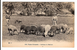 23 - Types Creusois - Gardeuse De Moutons - Autres & Non Classés