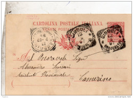 1907    CARTOLINA CON ANNULLO  CINGOLI    MACERATA - Entiers Postaux