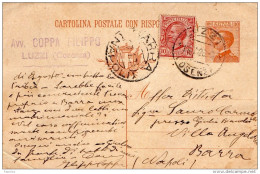 1926  CARTOLINA CON ANNULLO  LUZZI COSENZA - Entero Postal