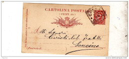 1893  CARTOLINA CON ANNULLO CREMA CREMONA - Interi Postali