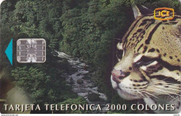 COSTA RICA - Puma, CN : C91500277, Tirage %35000, 01/99, Used - Costa Rica