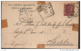 1905 CARTOLINA CON ANNULLO NORCIA  PERUGIA - Storia Postale