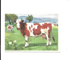 EC94 - BON POINT - LA VACHE - Andere & Zonder Classificatie