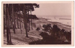 (33) 117, Arcachon, CAP 78, Parc Des Abatilles - Arcachon