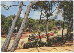 GF (33) 013, Bassin D'Arcachon, Théojac 93, Le Petit Train Du Cap Ferret, état - Arcachon