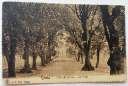 ROMA - 1908 - Villa Borghese: Un Viale - Parchi & Giardini