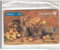 CANADA - Dogs, QuebecTel Telecard $5, Tirage 5000, 10/98, Mint - Kanada