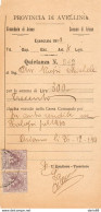 1910 QUIETANZA ARIANO AVELLINO CON MARCHE DA BOLLO - Historische Documenten