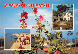 MO-24-539 : LA PALMYRE. LES MATHES - Les Mathes