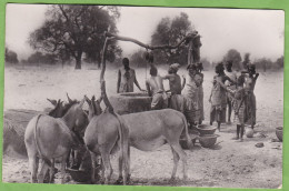 Belle CPSM Au Puits Près De Dakar Animé Format CPA - Senegal