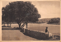 MO-24-551 : SAINT-PALAIS-SUR-MER - Saint-Palais-sur-Mer