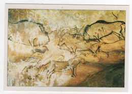 AK 210296 ART / PAINTING ... - Jungpaläloithikum - Höhle Von Niaux / Ariège - Bisons, Steinböcke Und Urpferde - Kunstvoorwerpen