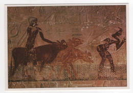 AK 210300 ART / PAINTING ... - Ägypten - Sakkara - Mastaba Des Ti - Die Heimkehr Der Herde - Ancient World