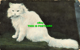 R621723 Cat. B. B. London Series No. G. 9. C. Reid. 1908 - Sonstige & Ohne Zuordnung
