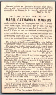 Bidprentje Ruisbroek - Magnus Maria Catharina (1883-1937) - Andachtsbilder