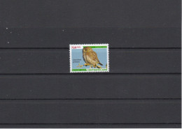 CENTRAL AFRICA 2023 OWL MNH. - Gufi E Civette