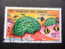 56 COTE DES SOMALIS COSTA DE SOMALIA 1963 / FAUNA MARINA " MÉANDRINE " / YVERT PA 35 FU - Oblitérés