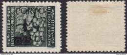 1945 LITORALE SLOVENO, Tasse N° 1/II 1Lira Su 25c. Grigio Oliva MH/* - Cuadernillos