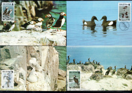 ISOLA DI MAN ISLE OF MAN 1989 WWF WORLD WILDLIFE FUND BIRD FAUNA BIRDS COMPLETE SET SERIE COMPLETA MAXI MAXIMUM CARD - Isola Di Man