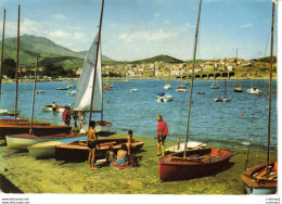 66 BANYULS SUR MER N°453 Vue Panoramique Sur La Ville La Plage Et La Rade Voiliers - Banyuls Sur Mer