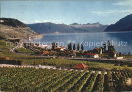 11695508 Lac Leman Genfersee Cully Et Le Vignoble De Lavaux Genf - Otros & Sin Clasificación