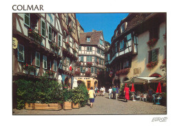 68 Colmar Rue Des Marchands N° 2 \MM5001 - Colmar