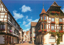 68 Kaysersberg Rue Du General De Gaulle N°13 \MM5003 - Kaysersberg