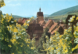 68 Riquewihr Vue Générale N° 4 \MM5005 - Riquewihr