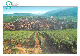 68 Riquewihr La Route Des Vins D'alsace L Vignoble N° 25 \MM5006 - Riquewihr