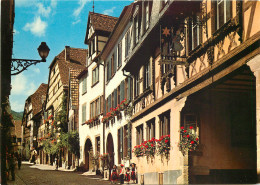 68 Riquewihr  N° 31 \MM5006 - Riquewihr