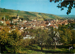 68 Ribeauvillé Vue Générale Le Vignoble  N°11 \MM5009 - Ribeauvillé