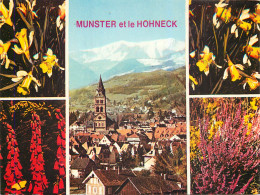 68 Muster Multivue  N° 26 \MM5011 - Munster