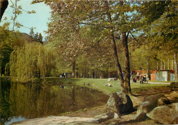 68 Muster L'Etang Du Parc De La Fecht Avec L'entrée De La Piscine   N° 37 \MM5011 - Munster