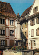 68 Altrirch Fontaine Saint Morand  N°31\MM5012 - Altkirch