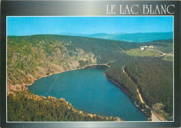 68 Les Hautes Vosges   Le Lac Blanc  N°28 \MM5013 - Sonstige & Ohne Zuordnung