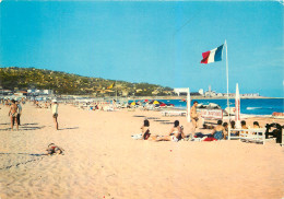 34 Sete La Corniche Et La Plage Et Le Mont Saint Clair  N° 24  \MM5017 - Sete (Cette)