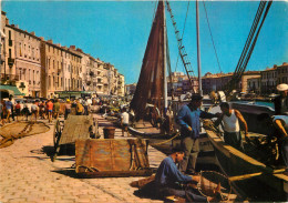 34 SETE Bateaux De Pêche à Quai  N° 51  \MM5017 - Sete (Cette)