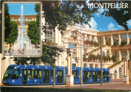 34 Montpellier Le Tramway  N° 20 \MM5019 - Montpellier