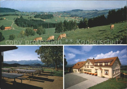 11695181 Buehler AR Gasthaus Hohe Buche Mit Alpstein Und Bodensee Buehler - Sonstige & Ohne Zuordnung