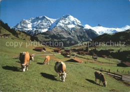 11695163 Adelboden Viehweide Im Stiegelschwand Mit Grosslohner Und Tschinellocht - Altri & Non Classificati