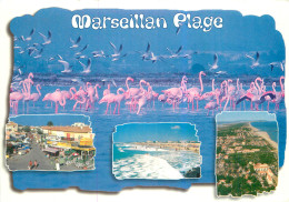 34 Marseillan Plage     Multivue  Flamant Rose    N° 49 \MM5026 - Marseillan