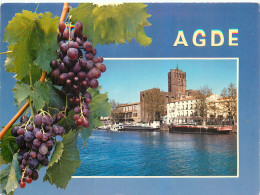 34 Agde   La Cathédrale St étienne  N° 26 \MM5027 - Agde